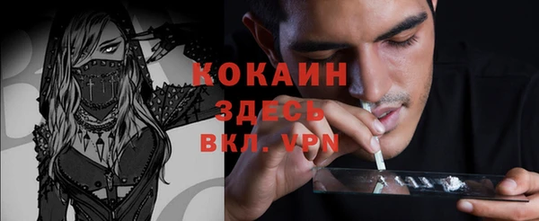 молекула духа Белокуриха